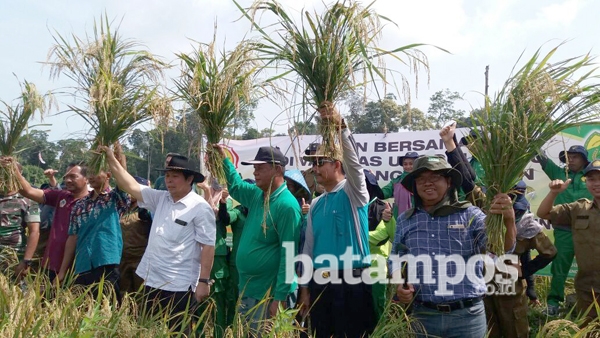 BPTP Kepri Hadirkan Varietas Unggul Baru