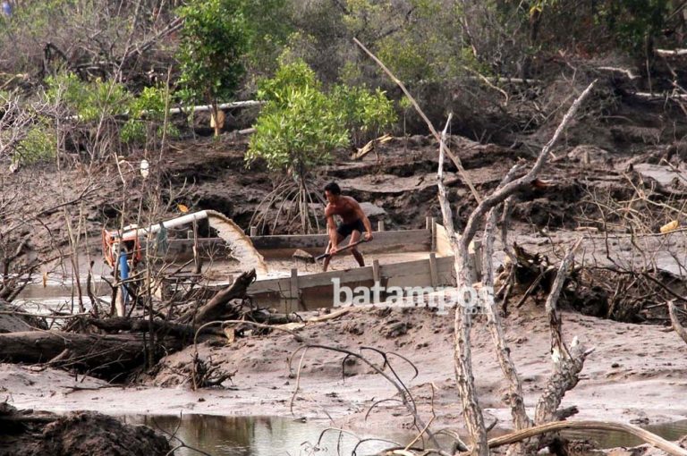 Penambang Pasir di Kabil Tiarap, di Panglong Makin Berani