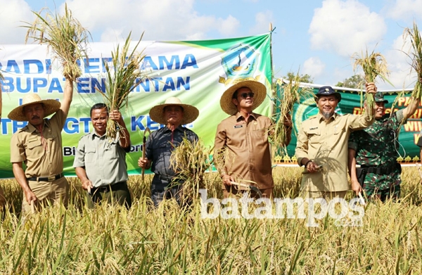 Panen 6,7 Ton Gabah, Petani Untung Rp 42 Juta