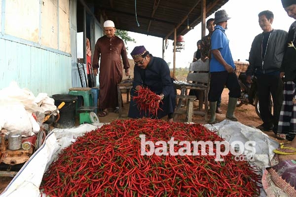 Tekan Inflasi dengan Ketersediaan Pangan