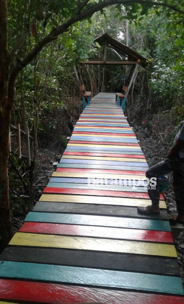 Wisata Mangrove di Kundur Barat