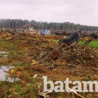 percetakan sawah di kelarik natuna yang baru dibuka pemerintah tahu 2017 , dari 68 hektare baru 5 hektare ditanami petani ol