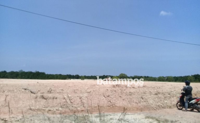 Reklamasi Hutan Bakau Masih Berlanjut di Dapur 12 Sagulung