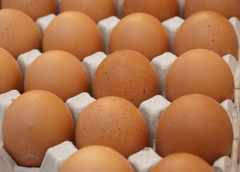 Harga Telur Naik Rp 5.000 per Papan