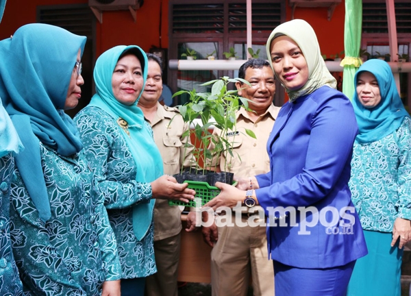 Deby Ajak IRT Tanam Cabai