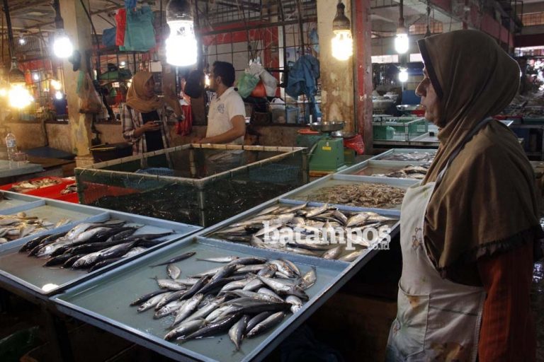 Harga Ikan Melambung