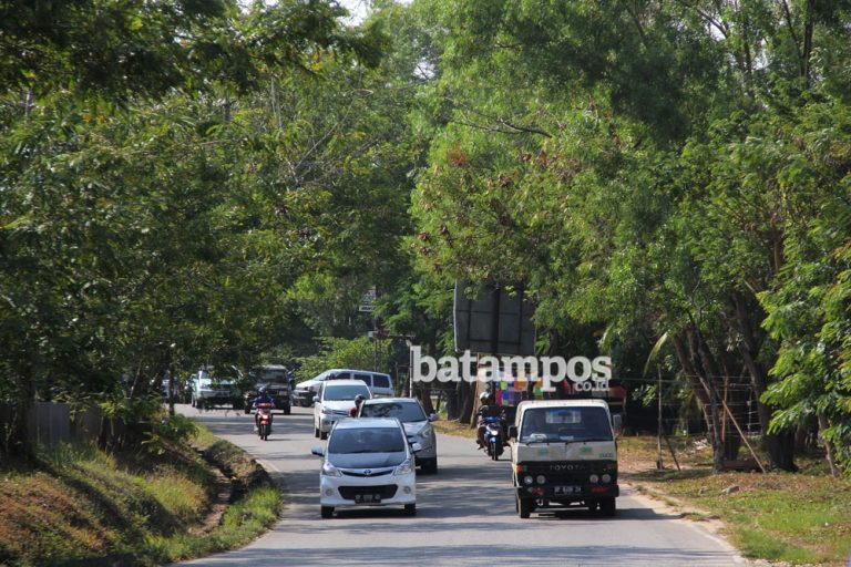 Anggaran Minim, Setiap OPD Diwajibkan Ikut Tanam Pohon