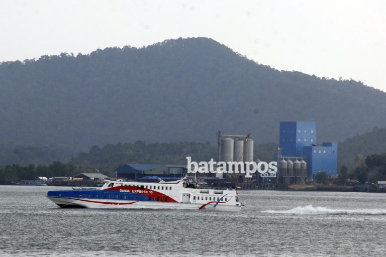 Pemudik ke Dumai Mulai Pesan Tiket Mudik