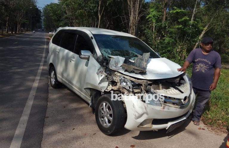 Avanza Seruduk Truk Berhenti