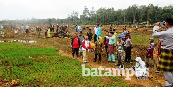 Pemerintah Masih Evaluasi Lokasi Cetak Sawah dan Petani