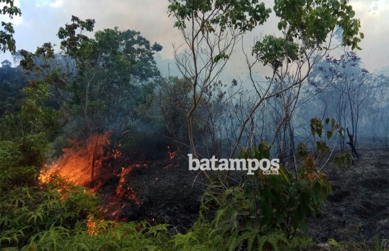Api Bisa Dijinakkan 32 Jam Kemudian
