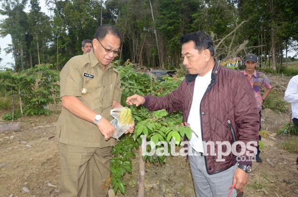 Moeldoko Kembangkan Kebun Buah di Lingga