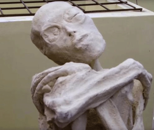 Ini Cara Bedakan Ban Baru dengan Rekondisi