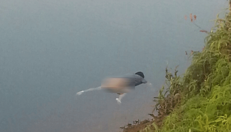 Pria Itu Ditemukan Jadi Mayat di Dam Mukakuning