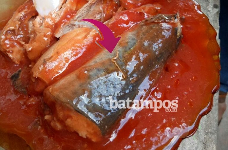 Terkait Sarden Bercacing, Indonesia Kirimkan Surat ke China