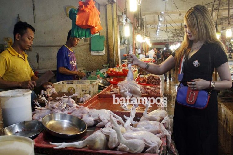 Stok Berlebih, Tapi Harga Melambung