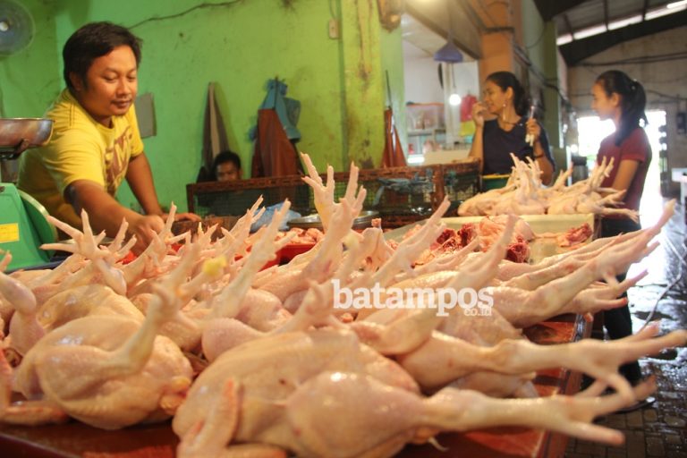Harga Daging Ayam Naik Lagi