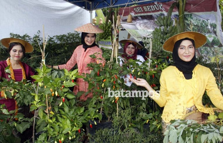 85 Kelompok Tani Ramaikan Bazar Hasil Pertanian di Lapas Batam