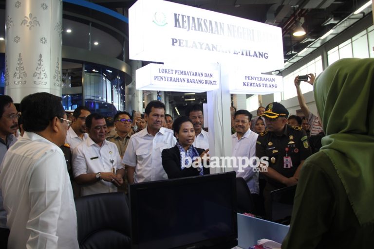 Harapan Gubernur Kepri kepada Kementerian BUMN