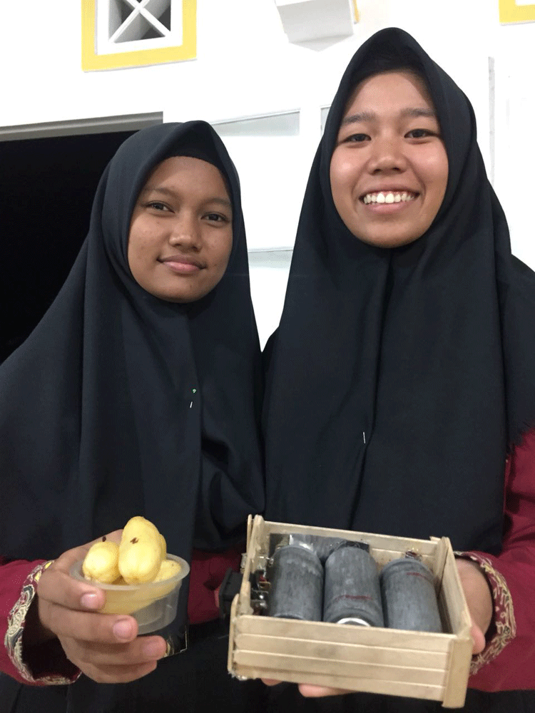 Siswi SMA 1 Dabo Singkep Ciptakan Power Bank dari Belimbing