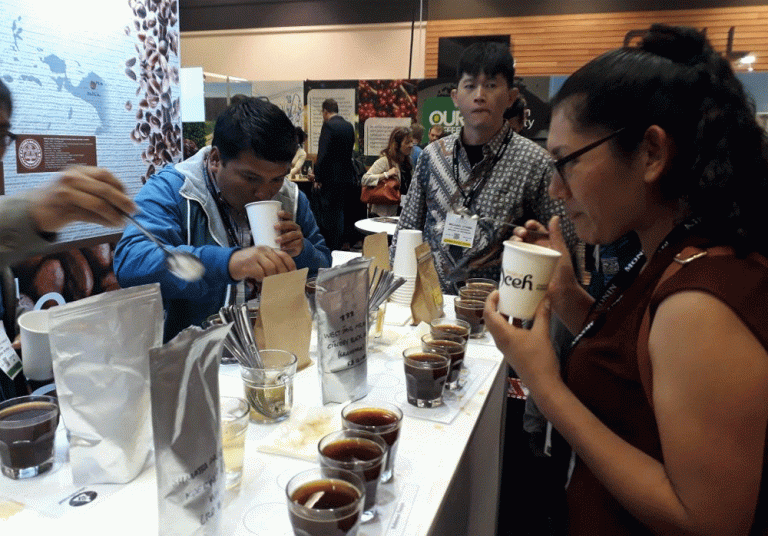 Aceh Promosikan Kopi Gayo hingga ke Seattle, Amerika Serikat
