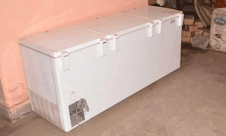 Awetkan Jasad Ibu demi Uang Pensiun