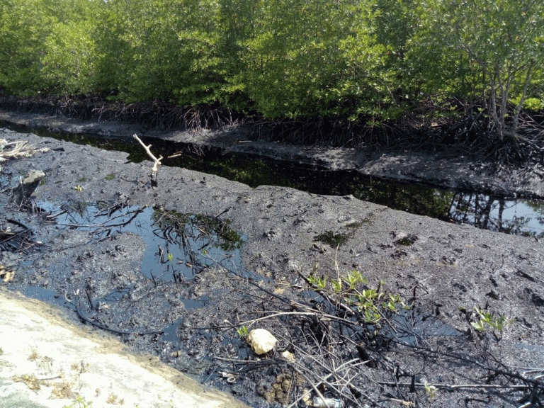 Ketua DPRD Batam, Sedih dengan Adanya Limbah Laut