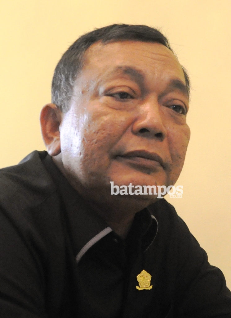 Nesar Tolak Bintan Jadi Empat Dapil