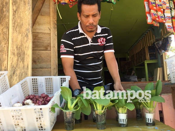 Pasar Busamin Tampung Hasil Kebun Petani Lokal