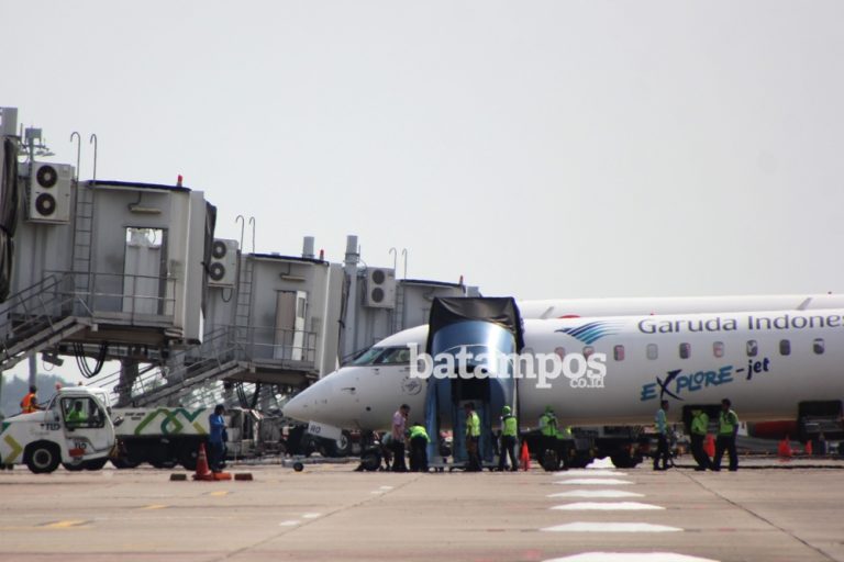 Mudik Lebaran, Penumpang Pesawat bisa Capai 5,75 Juta