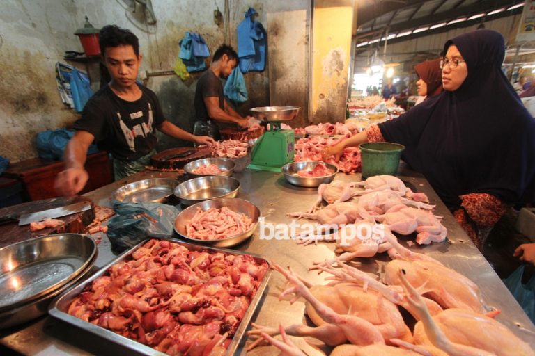 Harga Daging Ayam Segar Tembus Rp 44 Ribu