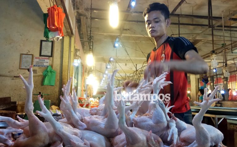 Harga Daging Ayam pun Naik