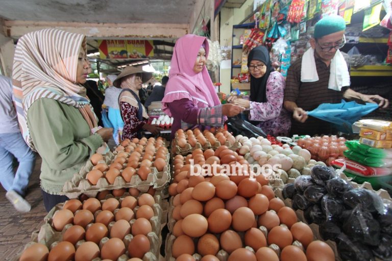 Harga Telur Rp 1.700 per Butir