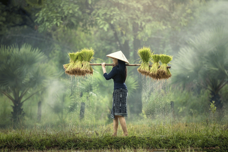 Urban Farming Mampu Menjaga Tingkat Inflasi Rendah
