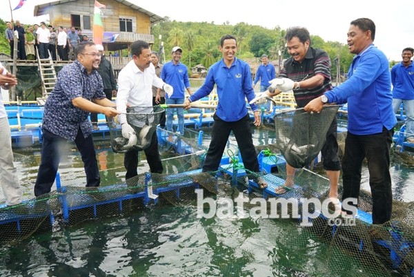 Setokok Jadi Kampung Kerapu