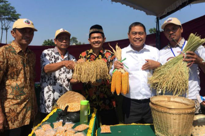 Jadikan Transmigrasi Pusat Ekonomi Baru