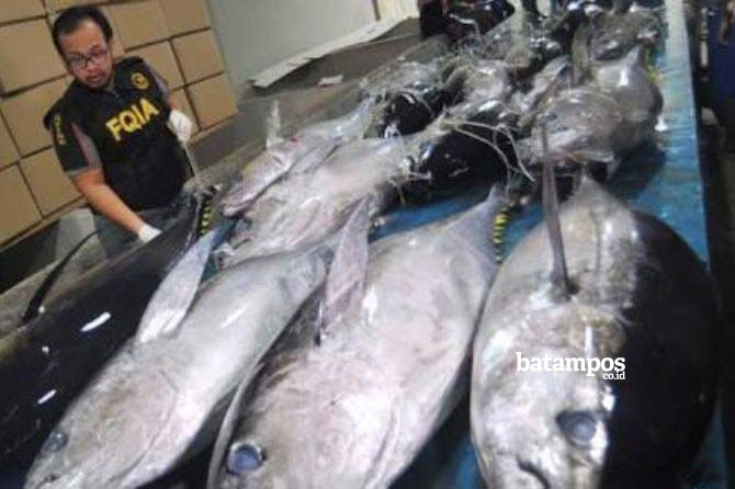 Wow, …. Di Jepang, Perindo Peroleh Kontrak Jual Beli Ikan Tuna Senilai USD 3,3 juta