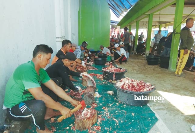202 Sapi untuk  Tujuh Kecamatan