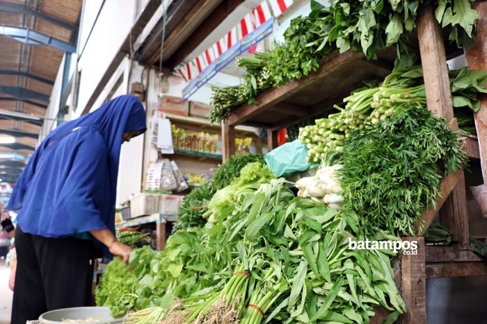 Harga Sayur Masih Mahal