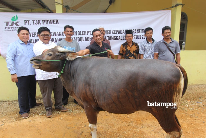 PT TJK Power Menyerahkan 4 Sapi dan Satu Kambing kepada Warga Sekitar