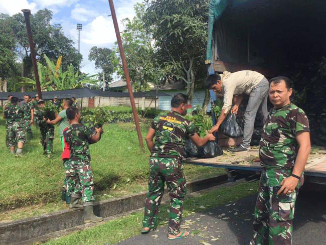 Koramil 04 Dabo Sebarkan 25 Ribu Bibit Tanaman