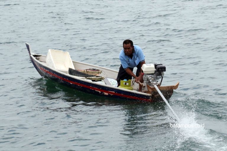 Gunakan Elpiji, Hemat 50 Persen
