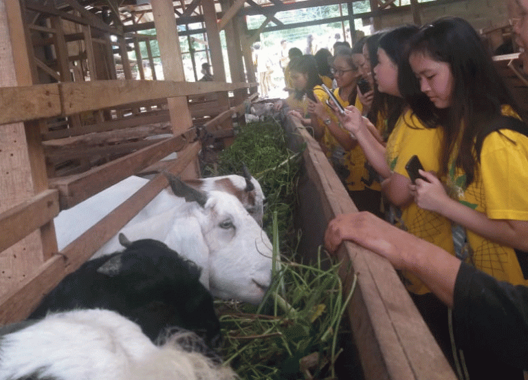 Berwisata Ternak ke Agromarina Batam