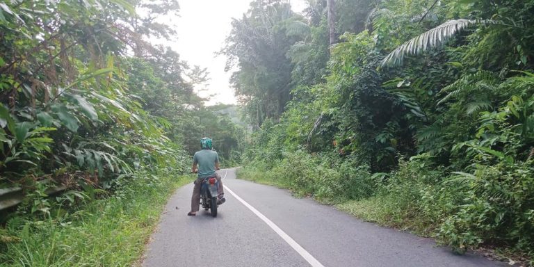 Jalan Arung Hijau Dipenuhi Semak