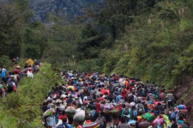 Terancam KKB, Warga Tembagapura Tinggalkan Kampungnya