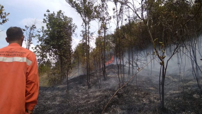 Hutan di Area Komplek Pajak Tiban Terbakar