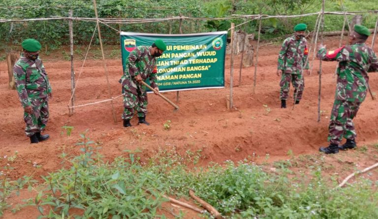 Koramil 02/Tarempa Mendukung Ketahanan Pangan di Daerah Perbatasan