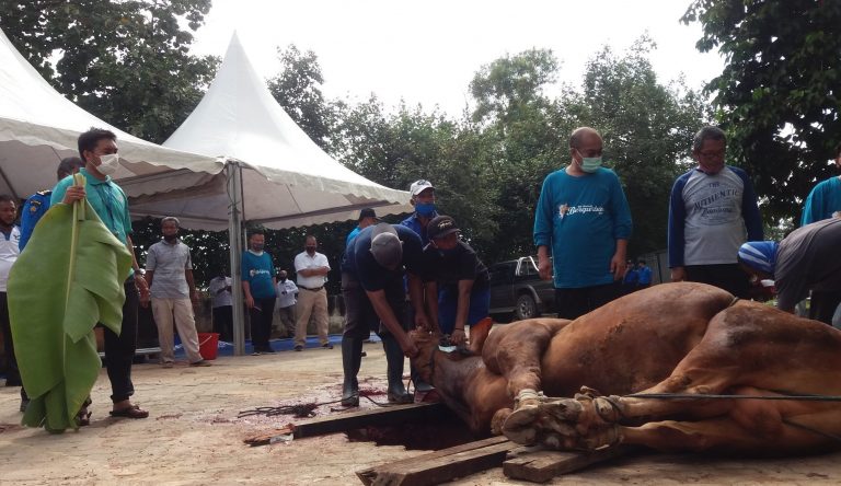 Kepala dan Wakil Kepala BP Batam Kurban Sapi Limosin
