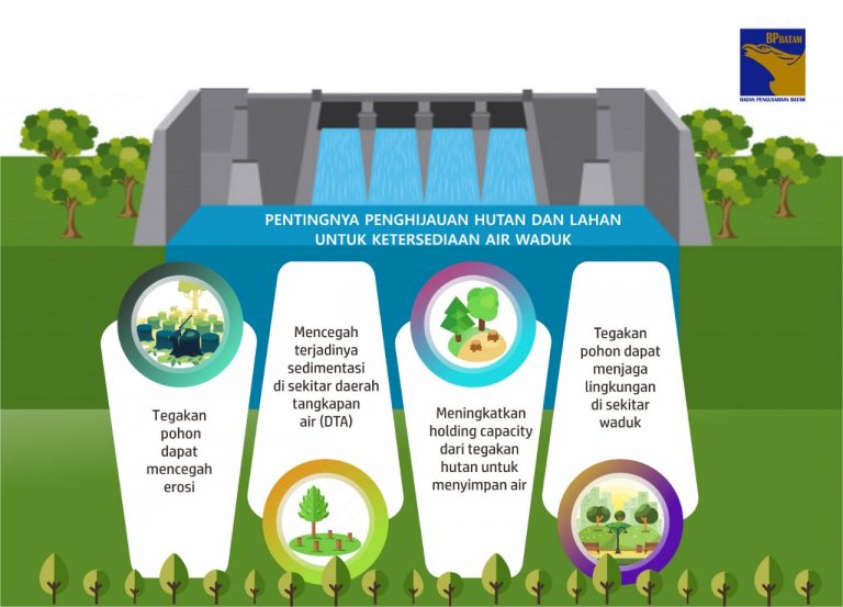 Pentingnya Penghijauan Hutan dan Lahan untuk Ketersediaan Air Waduk