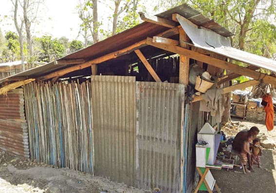 Melihat Kondisi Warga Eks Timor Timur Kini
